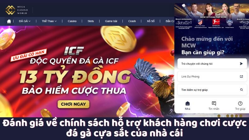 Đánh giá về chính sách hỗ trợ khách hàng chơi cược đá gà cựa sắt của nhà cái