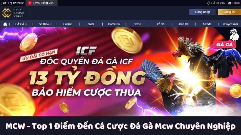 Giới thiệu về MCW