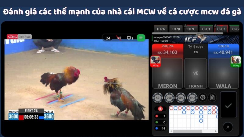 Đánh giá các thế mạnh của nhà cái MCW về cá cược mcw đá gà