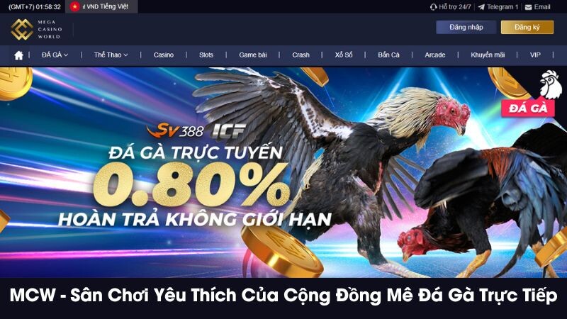 Vị thế của MCW trong ngành giải trí cá cược